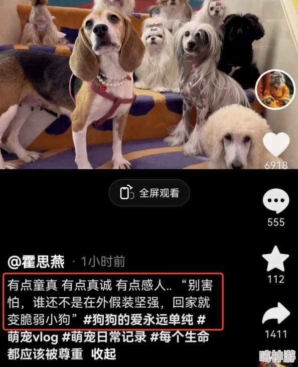 啊哈～嗯哼～用力cao我小说，网友们纷纷表示这部作品大胆而新颖，情节引人入胜，让人欲罢不能