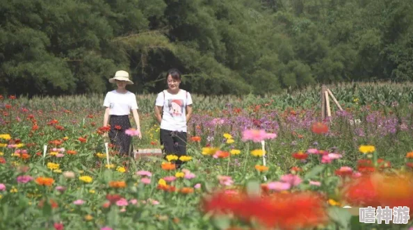 红楼春梦大观园里新添奇花异草引来无数游人驻足观赏