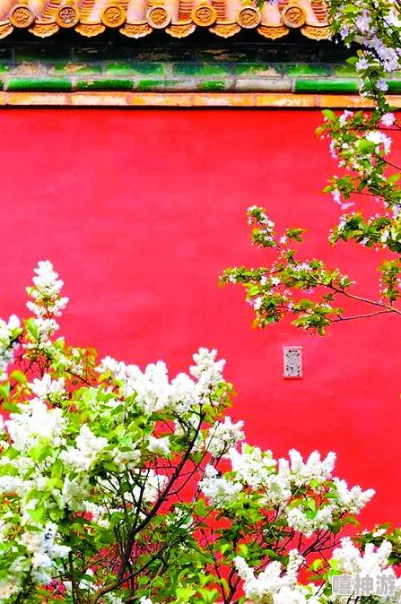 丁香花菩提树心怀希望勇敢追梦生活因你而美好