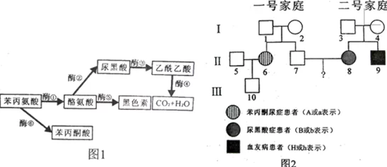 双性射尿研究表明部分病例可能与特定基因突变和激素水平异常有关