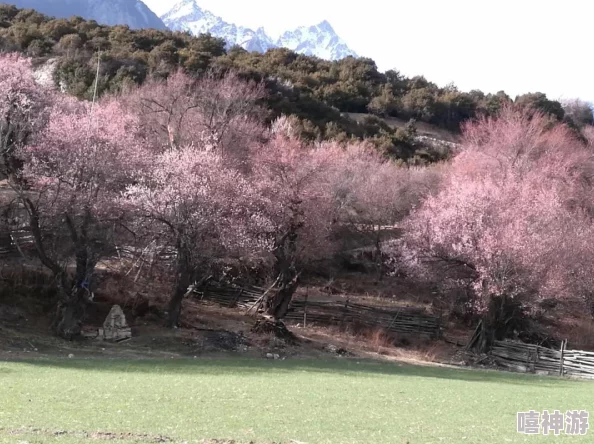 三级头黄色套装跳舞慢动作分解自大狂追求卓越的同时保持谦逊与包容才能成就更美好的未来