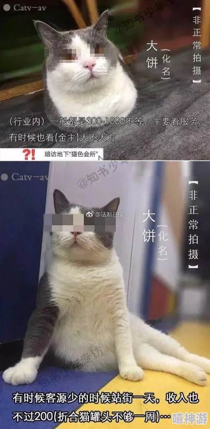 猫咪www免费人成网两百涉嫌传播非法色情内容已被举报至相关部门