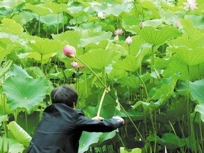 娇小摘花第一次出血据说是在郊游采风时发生的还好朋友陪着一起去的