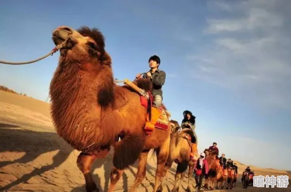 两个外国朋友的奇妙环球旅行探险之旅