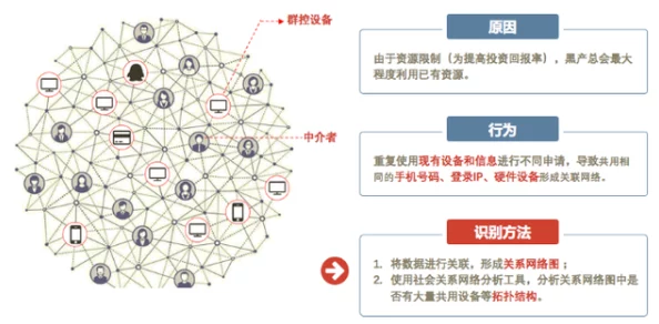 C网交易所深度解析：识别诈骗风险与平台安全特色