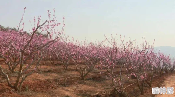 手机里的花花世界，你们都在干嘛？